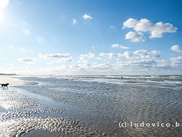 BRAY-DUNES2024_FXT32947