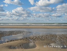 BRAY-DUNES2024_FXT33012