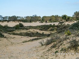 OOSTDUINKERKE2024_FXT33110