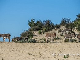 OOSTDUINKERKE2024_FXT33116