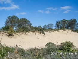 OOSTDUINKERKE2024_FXT33131