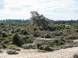 OOSTDUINKERKE2024_FXT33133