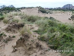 NIEUWPOORT2024_FXT32451