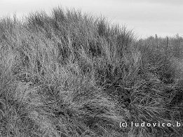 OOSTDUINKERKE2024_FXT32388-2