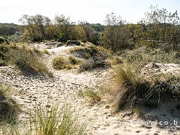 OOSTDUINKERKE2024_FXT33153