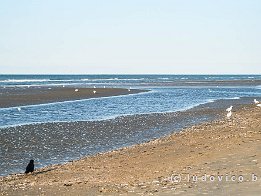 OOSTDUINKERKE2024_FXT33207