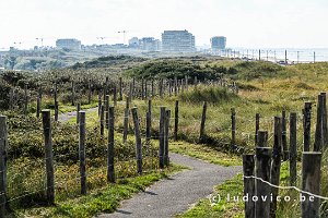 Duinen