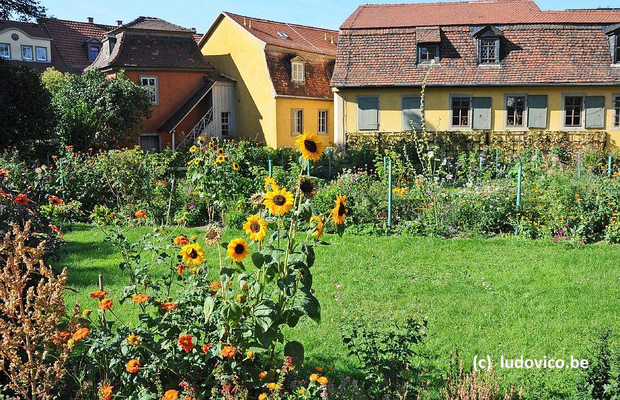 WEIMAR2009 DSC1195