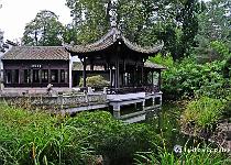 Chinese tuin