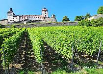 DU2016 DSC 0904-5943  Wrzburg ligt midden in een wijnstreek