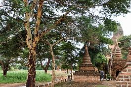 MYANMAR2019-DSCF3160