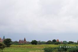 MYANMAR2019-DSCF2767