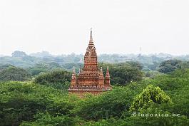 MYANMAR2019-P1320371