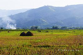 MYANMAR2019-P1300701