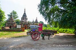 MYANMAR2019-P1310787