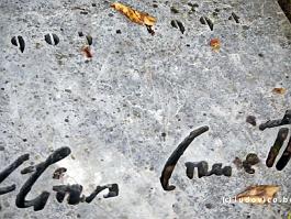 DU2016_P0944-P1140967 De grafsteen van Elias Canetti