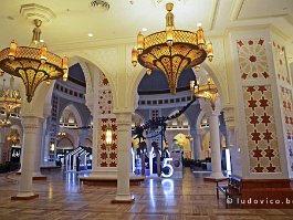 DUBAI2018_DUB2_0652