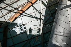 Fondation Louis Vuitton