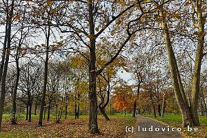 Jardin d'Acclimatation