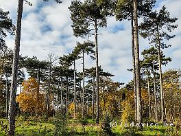 PARIS_IMG_20241130_131114803_HDR