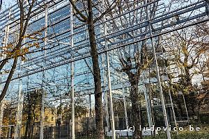 Fondation Cartier