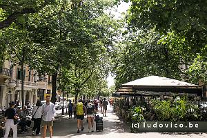 Ramblas de Catalunya