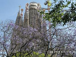 SPANJE2024_P1046200 Sagrada Familia (Gaudi)