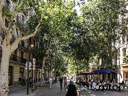 SPANJE2024_P1046182 De wijk Eixample