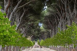 Casita del Principe-park