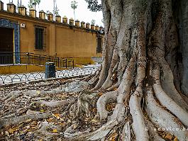 SPANJE2022_P1380370