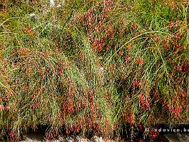 SPANJE2022_P1380402