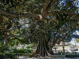 SPANJE2022_P1380679