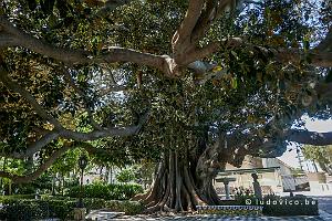 Park Genoves