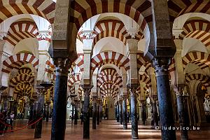 Mezquita-Moskee