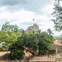 SRILANKA_D7M_3708