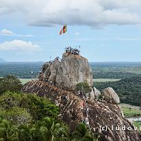 SRILANKA_D7M_3713