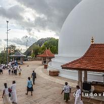 SRILANKA_D7M_3729