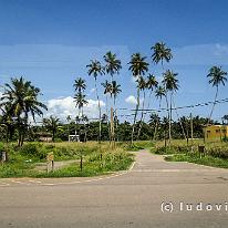 SRILANKA_P1058176