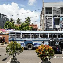 SRILANKA_P1058207