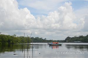 Madu Ganga Mangrove