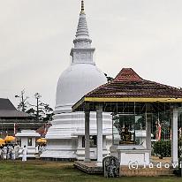 SRILANKA_P1057633