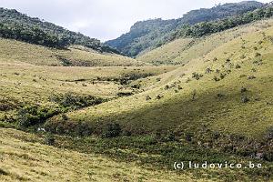 Horton Plains-Worlds end