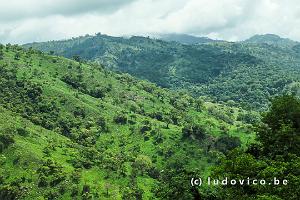 Nuwara Eliya naar Yala