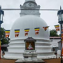 SRILANKA_D7M_4163