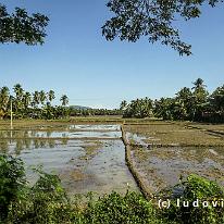 SRILANKA_P1058113